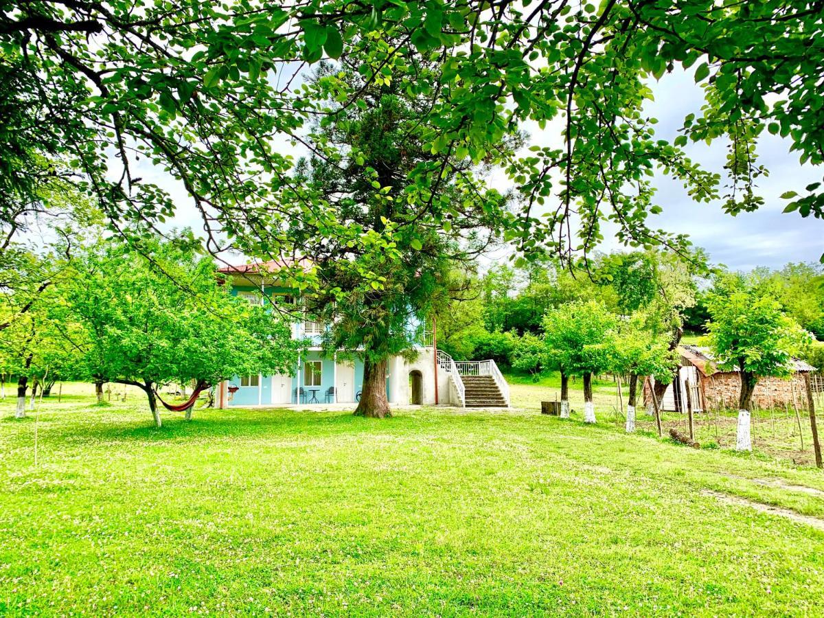 Martv'Elle Boutique Guesthouse Martvili Exterior foto